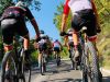 Servizi_noleggio_bici_newbike